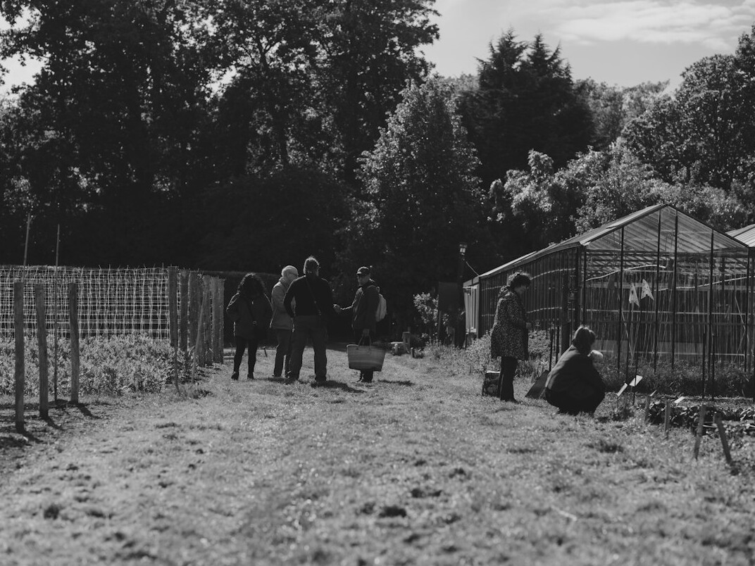 woman tending community garden