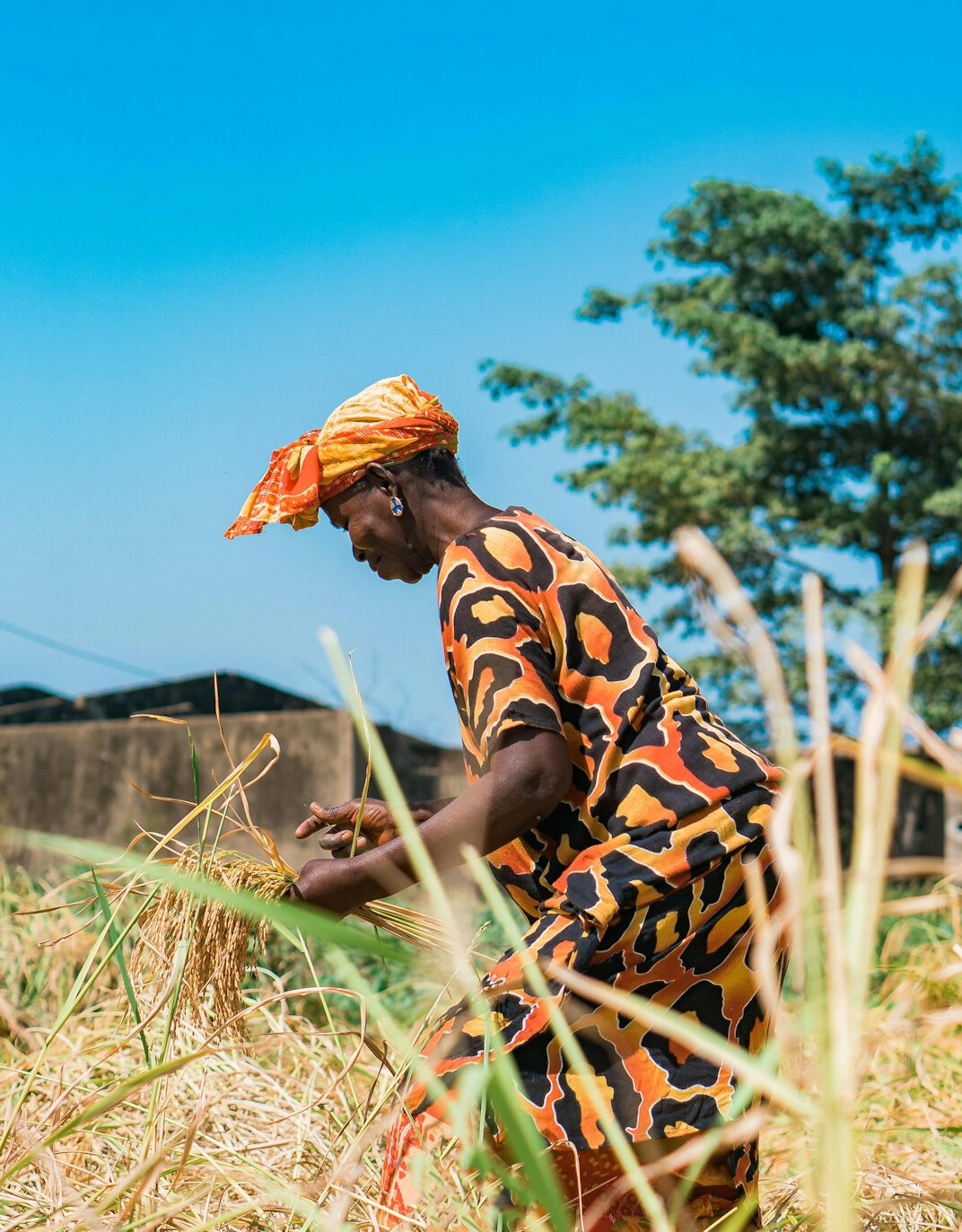 woman using farming equipment