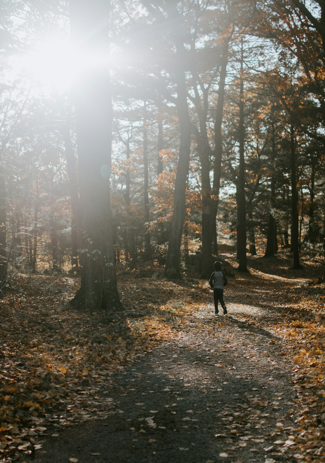 kids exploring forest