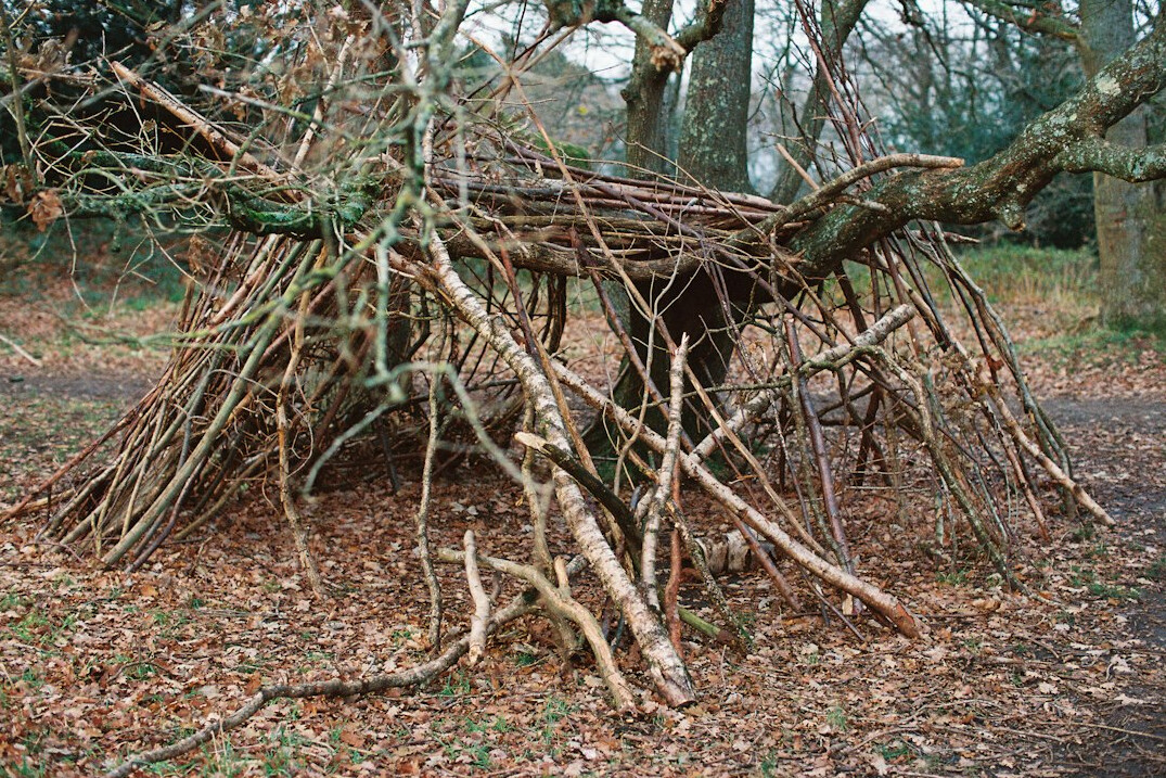 children building fort in woods