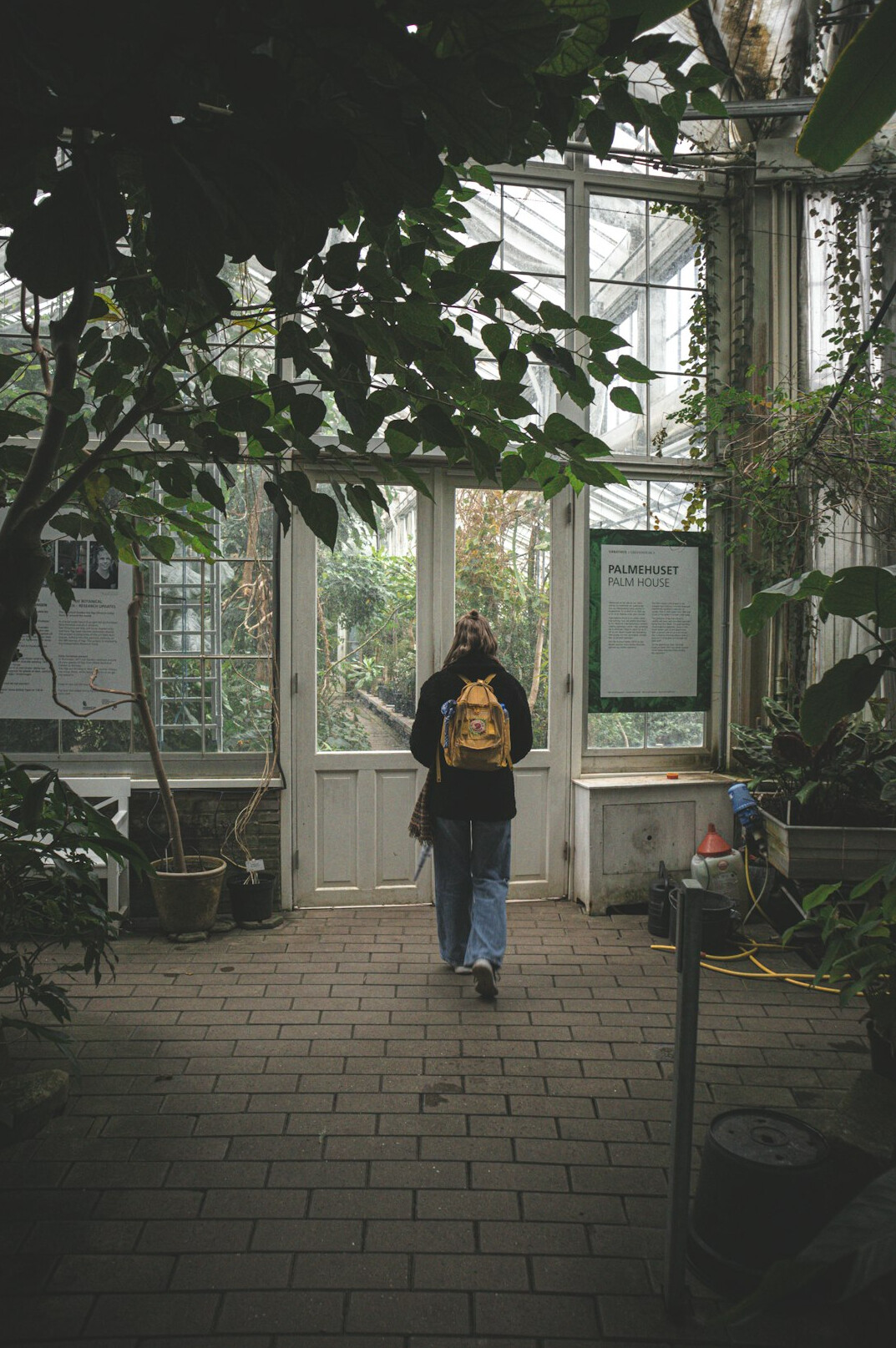 Portrait of a Danish female documentary photographer